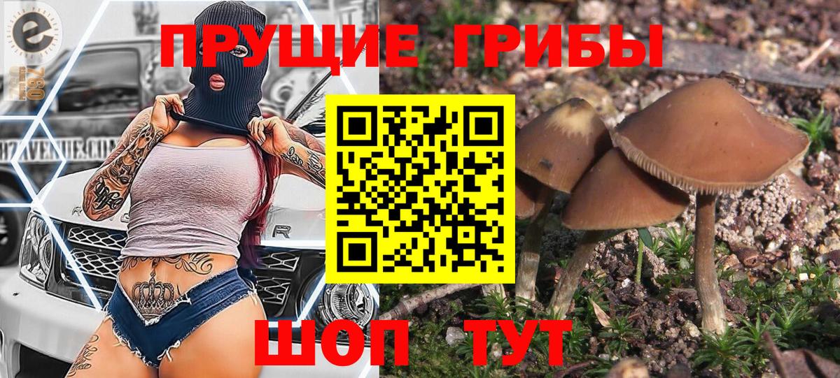 Азнакаево  где продают наркотики  Вход с VPN  Псилоцибиновые грибы Psilocybe 